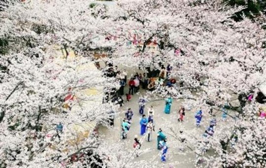 太田山公園／木更津市太田