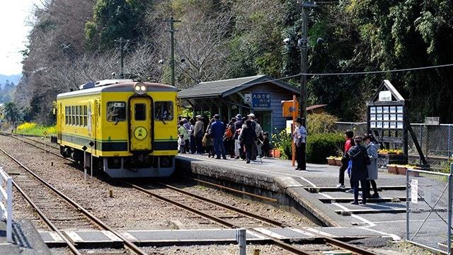 ムーミン列車に乗車！