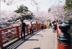 小見川城山公園／香取市小見川