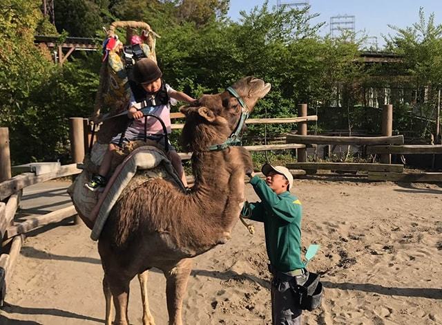 よこはま動物園ズーラシア (17)