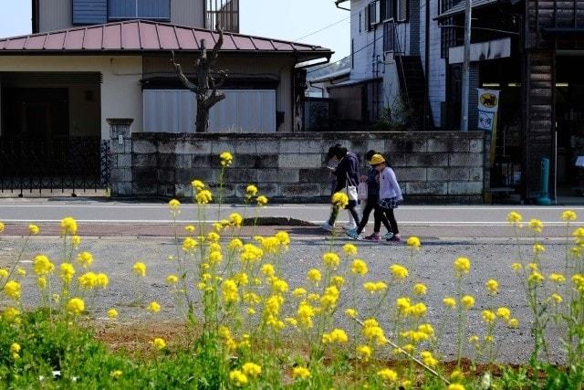 デンタルサポート大多喜駅から大多喜町を歩く8