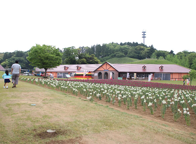 東京ドイツ村とは？