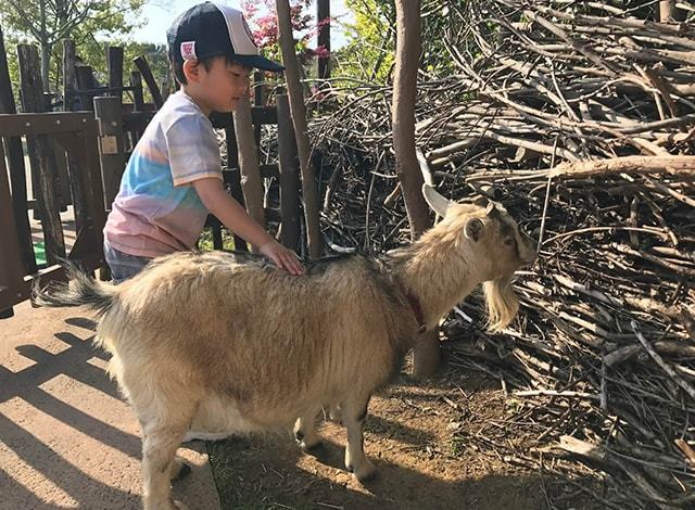 よこはま動物園ズーラシア (12)