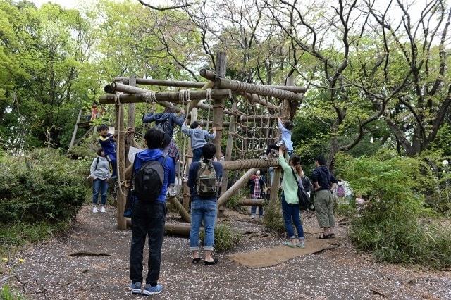 14個のアスレチックで体をならす「ファーストステージ 東の山」２