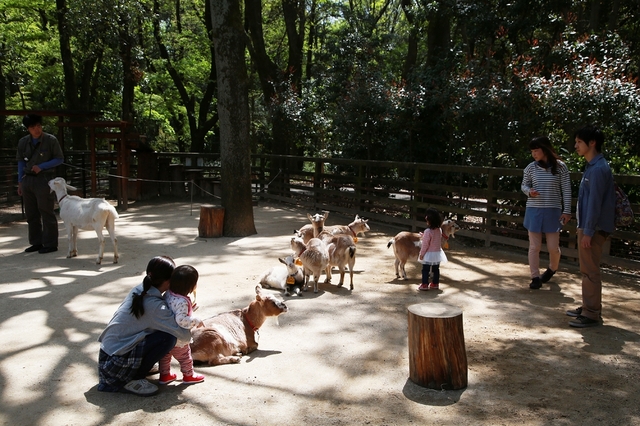 関東のふれあい動物広場