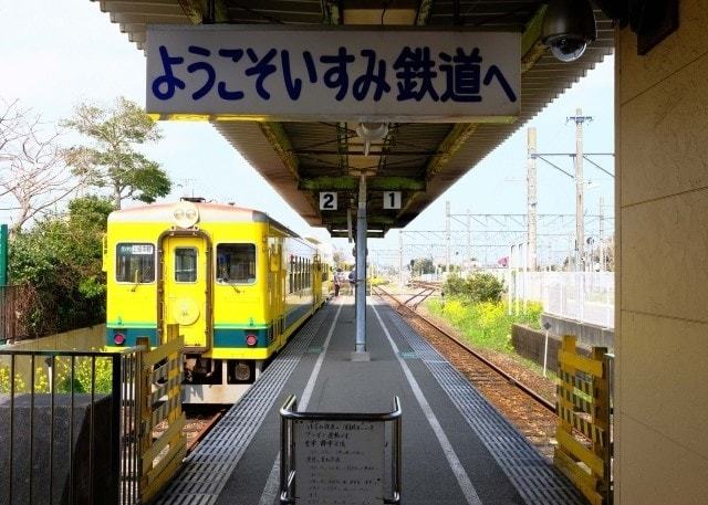 乗り降り自由の1日乗車券がお得！