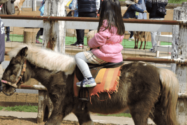 成田ゆめ牧場で乗馬中の写真