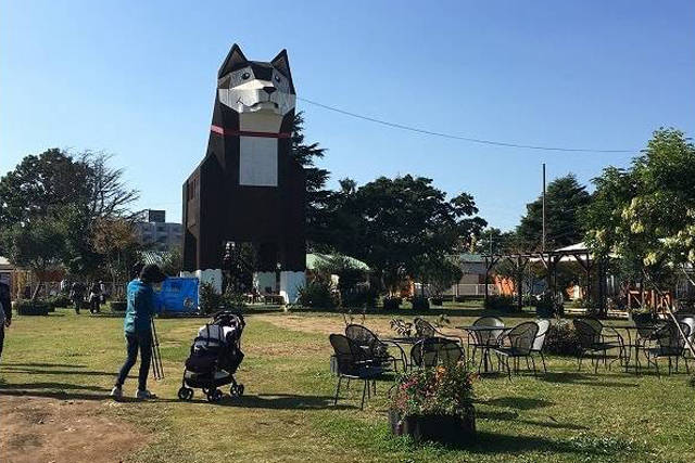 『つくばわんわんランド』日本最大級の犬猫テーマパークと周辺情報！