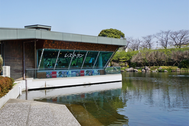 しながわ水族館のランチ・飲食情報！水上レストラン＆売店も！