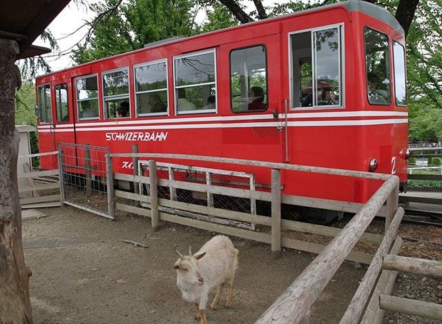 マニアも垂涎!本格派スイス鉄道