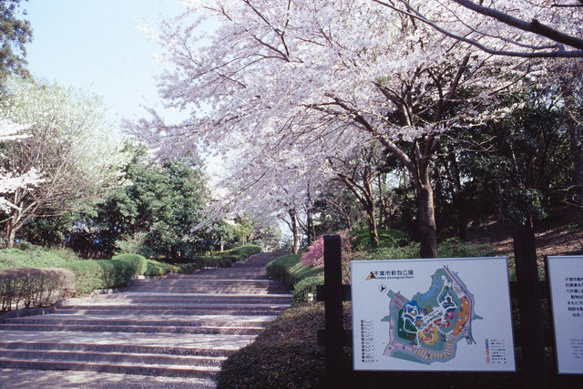 千葉市動物公園／千葉市若葉区