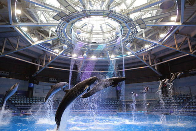 関東おすすめ水族館16選！子どもも大人も楽しめるスポット紹介！