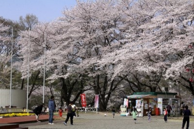 北本市子供公園（北本市）