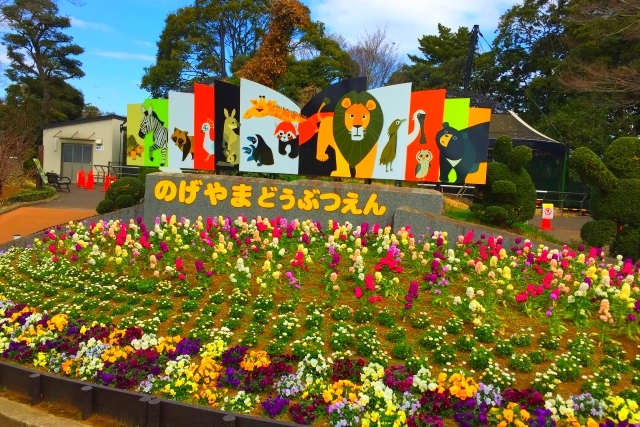 横浜市『野毛山動物園』入園無料の動物園を徹底攻略！お土産情報も！