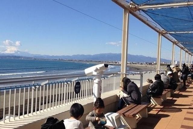 『新江ノ島水族館』えのすいでランチ！レストラン・お食事情報！