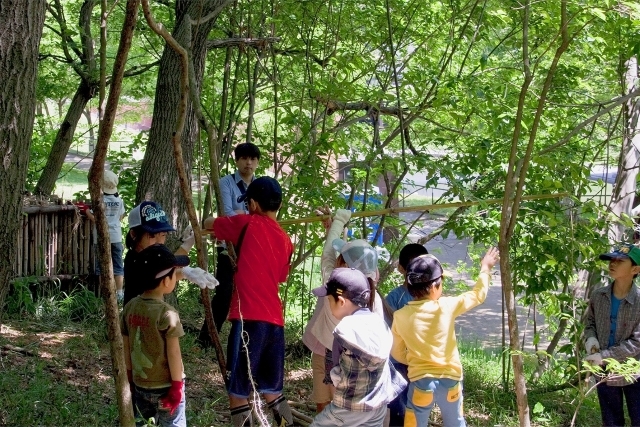 東京で『昆虫観察』できる公園5つ！カブトムシ・クワガタも