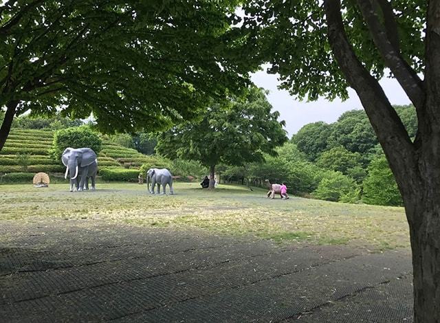 よこはま動物園 ズーラシア74