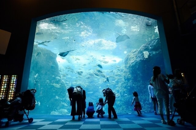 新江ノ島水族館