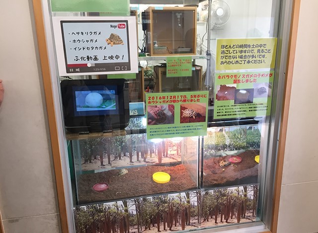 野毛山動物園100種以上の動物34