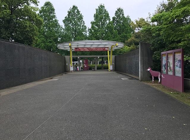 よこはま動物園 ズーラシア71