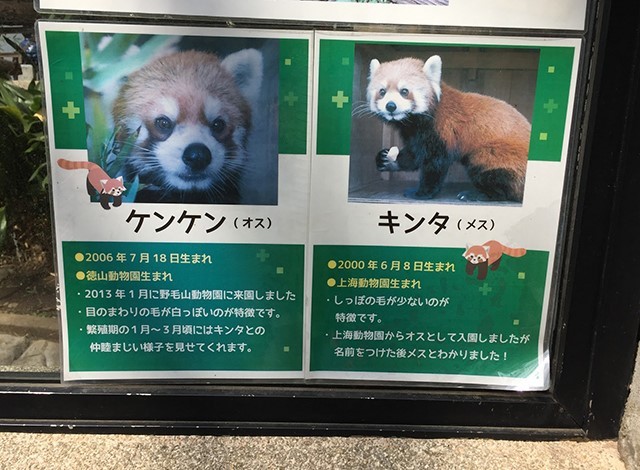 野毛山動物園100種以上の動物2