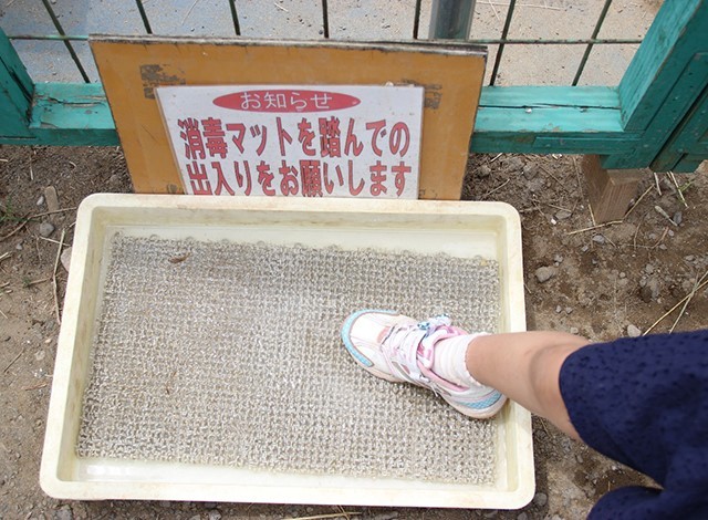 東京ドイツ村 - こども動物園 (26)