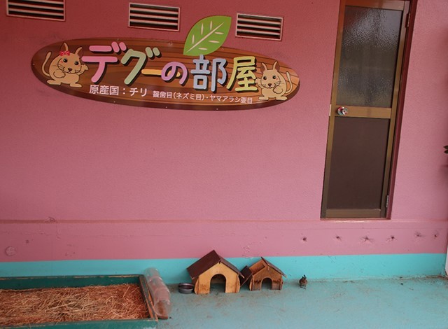 東京ドイツ村 - こども動物園 (42)