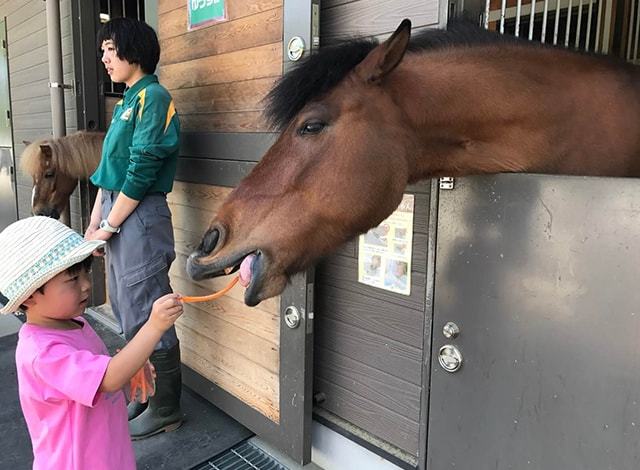 よこはま動物園 ズーラシア34