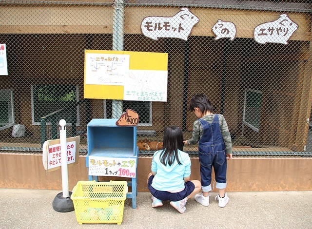 東京ドイツ村 - こども動物園 (4)