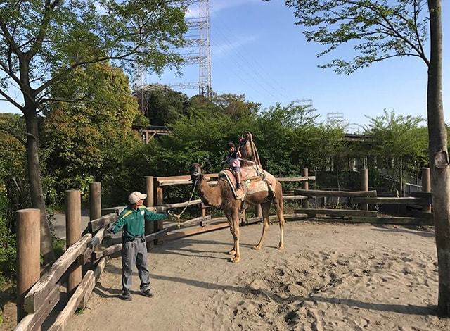 よこはま動物園 ズーラシア39