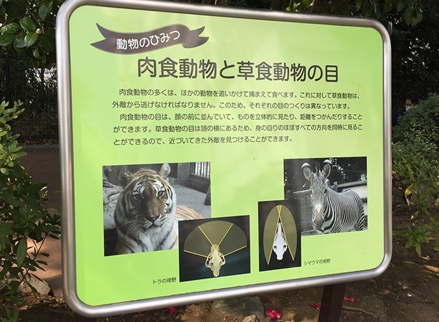 野毛山動物園100種以上の動物17