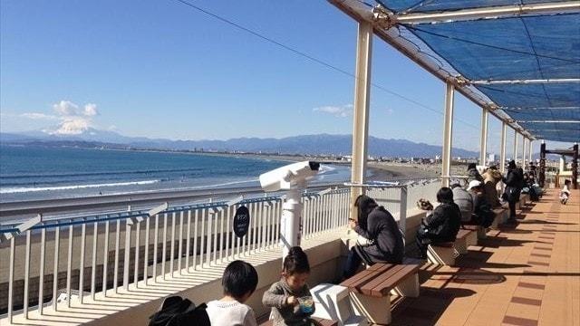 新江ノ島水族館 (29)