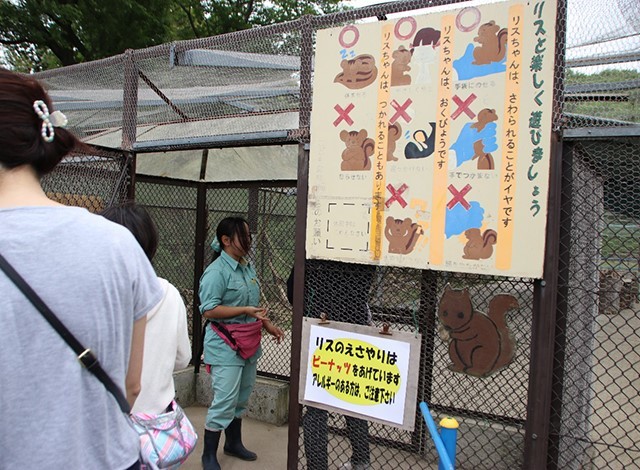 東京ドイツ村 - こども動物園 (14)