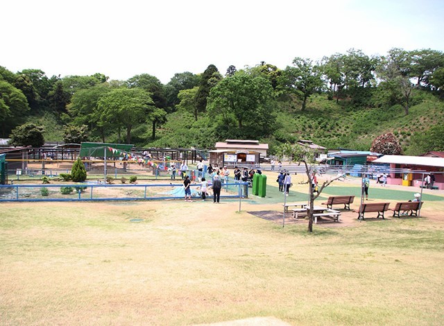 東京ドイツ村 - こども動物園