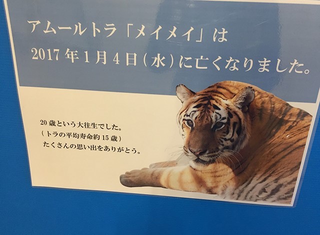 野毛山動物園100種以上の動物8