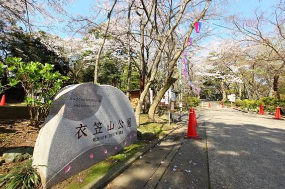 神奈川県のお花見スポット6