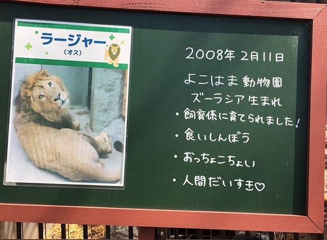 野毛山動物園100種以上の動物5