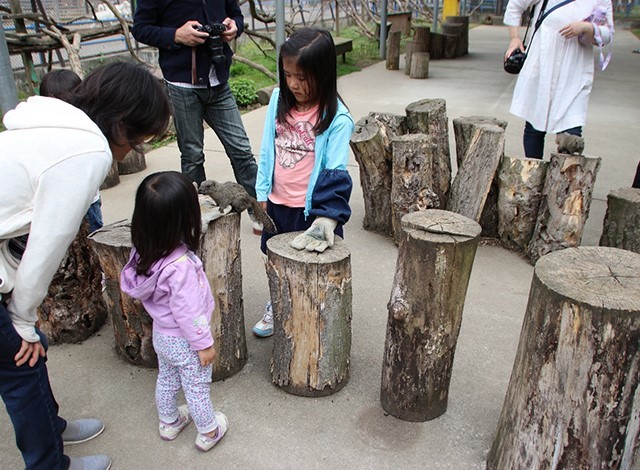 東京ドイツ村 - こども動物園 (17)