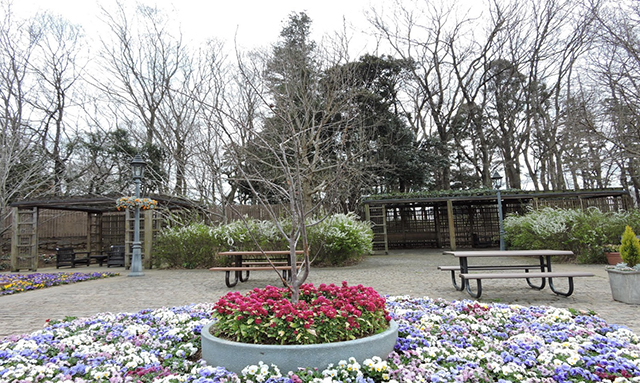 『ふなばしアンデルセン公園』公園情報97