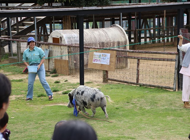 東京ドイツ村 - こども動物園 (12)