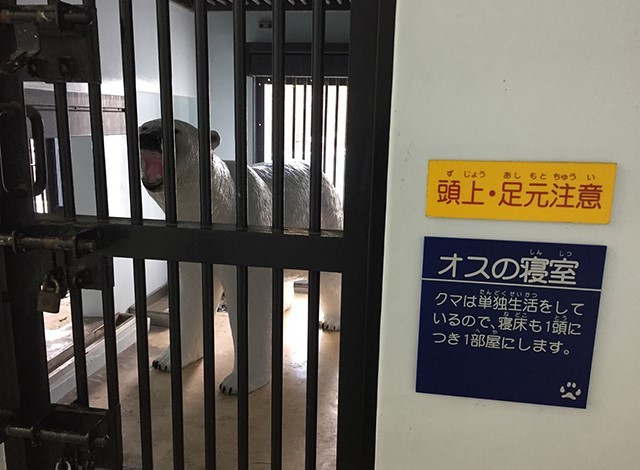 野毛山動物園100種以上の動物21