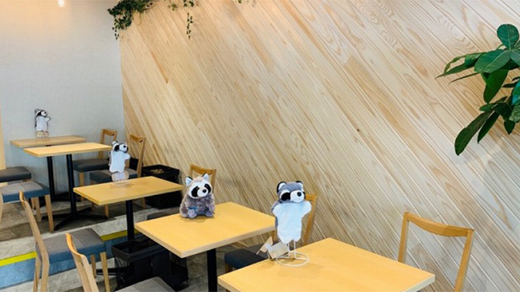 RACCOON CAFÉ 内観