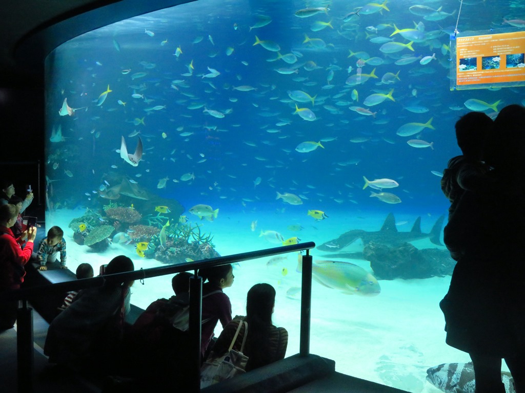 サンシャイン水族館　内観