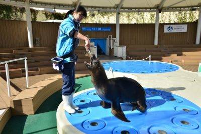 サンシャイン水族館 子連れ