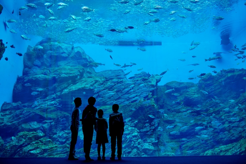 仙台うみの杜水族館の全アクセス方法！電車・車・無料シャトルバスでの行き方