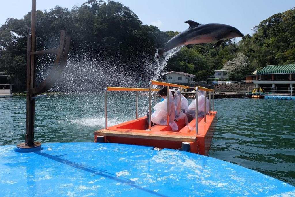 下田海中水族館 アメージングシート