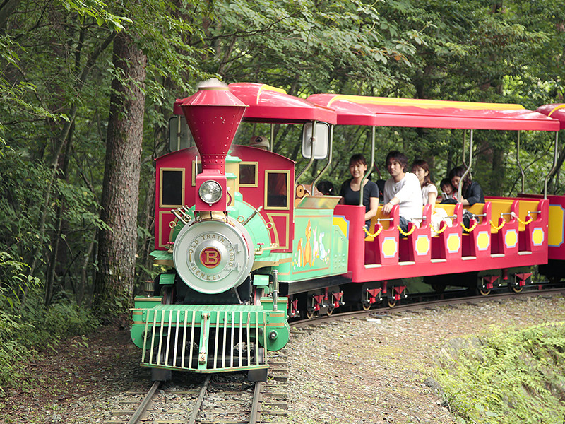 富士すばるランド SL森林鉄道