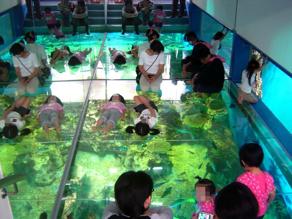 越前松島水族館