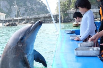 「下田海中水族館 」の全アクセス！バス・電車・無料駐車場も