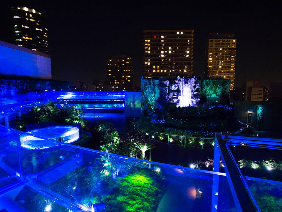 サンシャイン水族館 マリンガーデン夜景 jpg